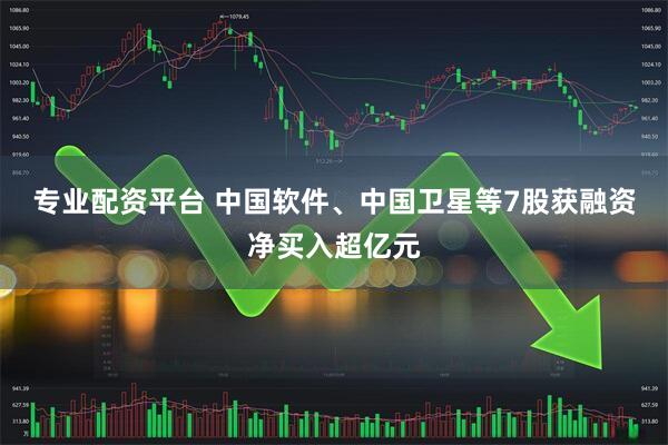 专业配资平台 中国软件、中国卫星等7股获融资净买入超亿元