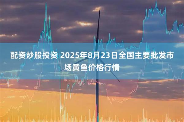 配资炒股投资 2025年8月23日全国主要批发市场黄鱼价格行情