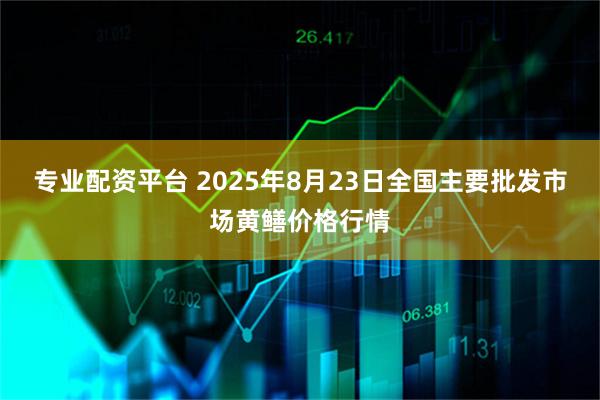 专业配资平台 2025年8月23日全国主要批发市场黄鳝价格行情